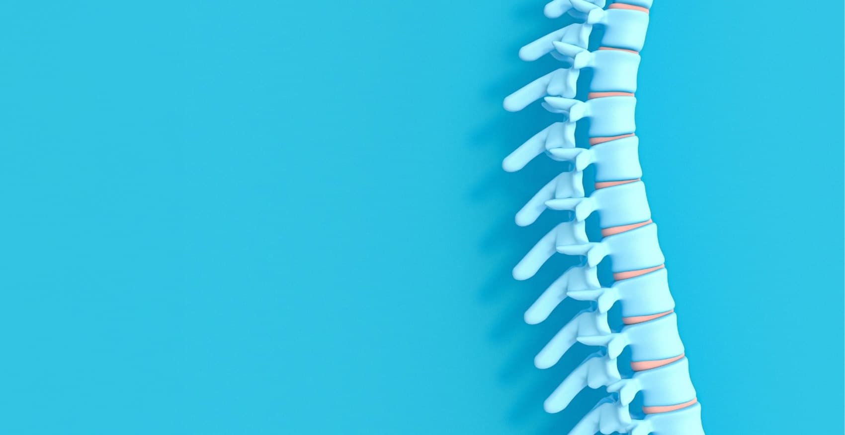 Three dimensional spine render on cyan background